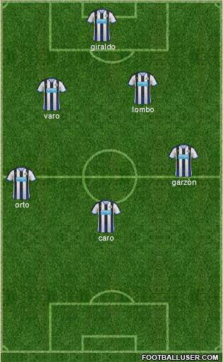 Newcastle United Formation 2016
