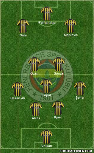 Fenerbahçe SK Formation 2016