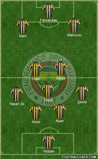 Fenerbahçe SK Formation 2016