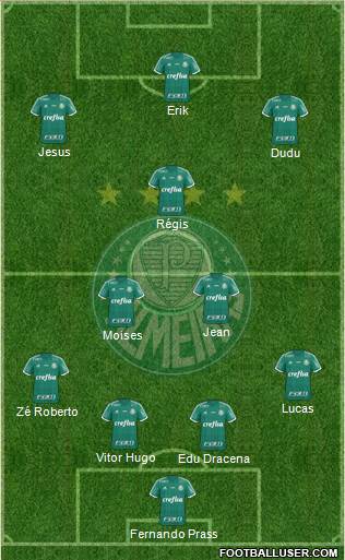 SE Palmeiras Formation 2016