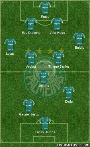 SE Palmeiras Formation 2016