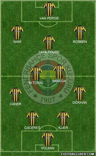 Fenerbahçe SK Formation 2016