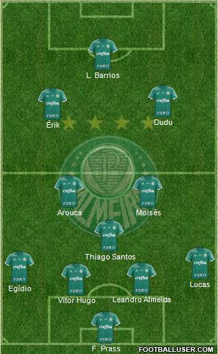 SE Palmeiras Formation 2016