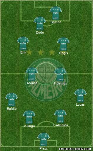 SE Palmeiras Formation 2016