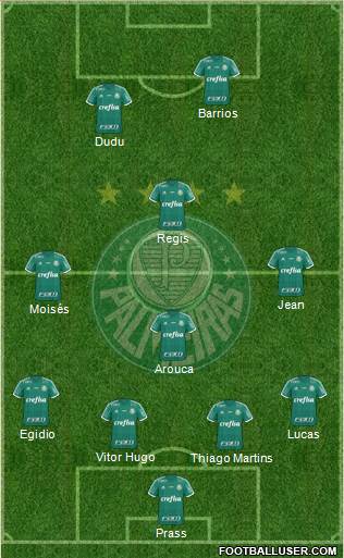 SE Palmeiras Formation 2016
