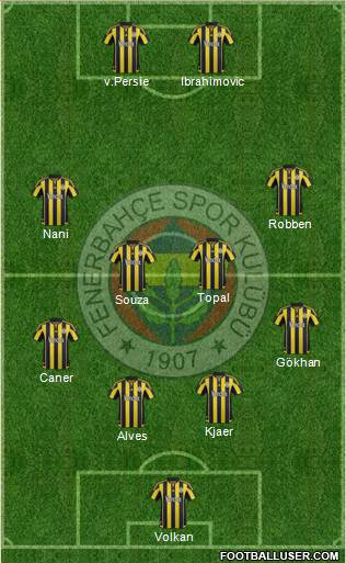 Fenerbahçe SK Formation 2016