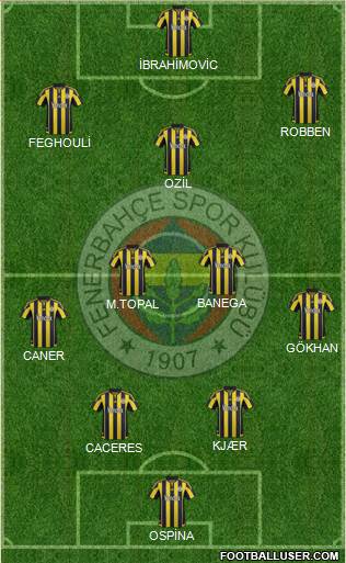 Fenerbahçe SK Formation 2016