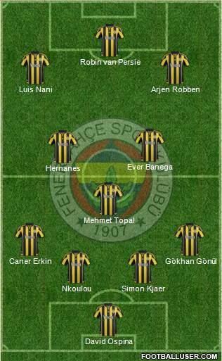 Fenerbahçe SK Formation 2016