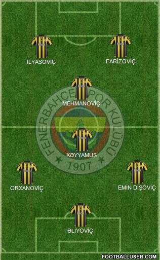 Fenerbahçe SK Formation 2016