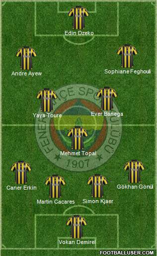 Fenerbahçe SK Formation 2016