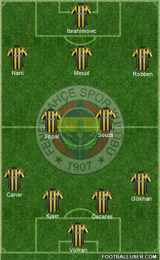 Fenerbahçe SK Formation 2016