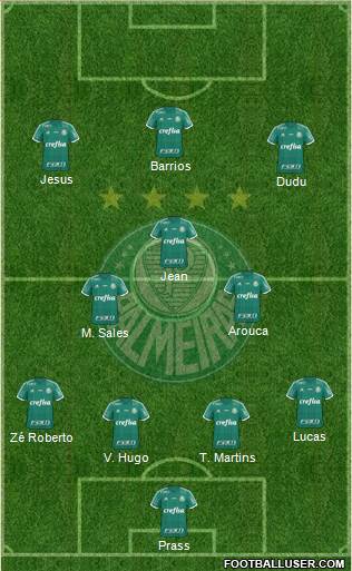 SE Palmeiras Formation 2016