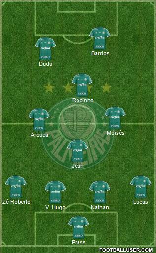SE Palmeiras Formation 2016