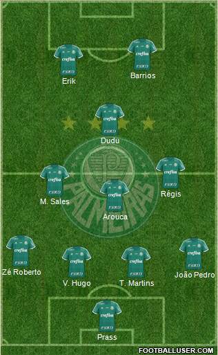 SE Palmeiras Formation 2016