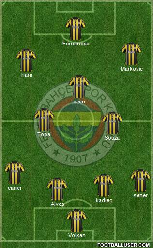 Fenerbahçe SK Formation 2016