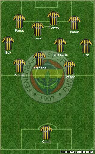 Fenerbahçe SK Formation 2016