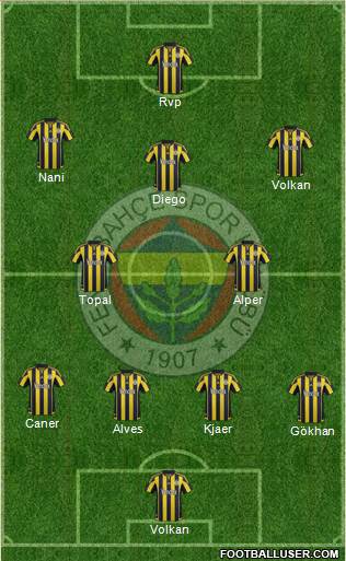 Fenerbahçe SK Formation 2016