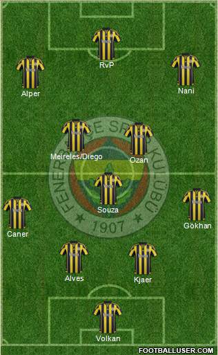 Fenerbahçe SK Formation 2016