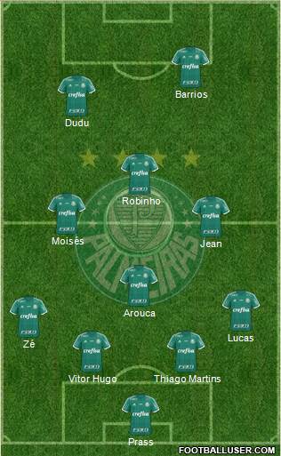 SE Palmeiras Formation 2016