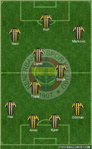 Fenerbahçe SK Formation 2016