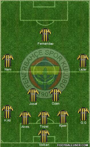 Fenerbahçe SK Formation 2016