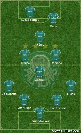 SE Palmeiras Formation 2016