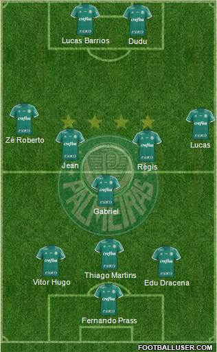 SE Palmeiras Formation 2016