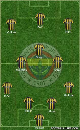 Fenerbahçe SK Formation 2016