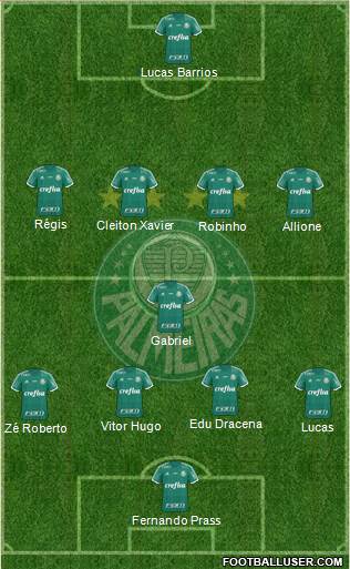 SE Palmeiras Formation 2016