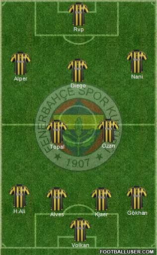 Fenerbahçe SK Formation 2016