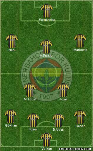 Fenerbahçe SK Formation 2016