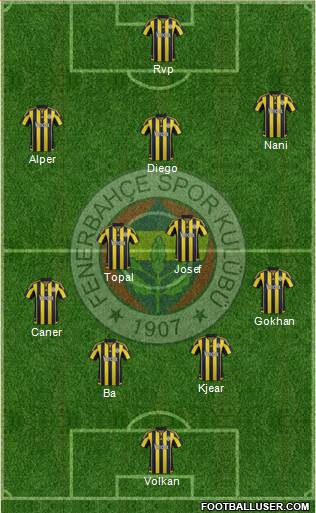 Fenerbahçe SK Formation 2016