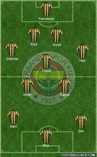 Fenerbahçe SK Formation 2016
