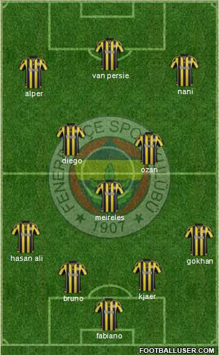Fenerbahçe SK Formation 2016