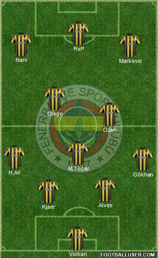 Fenerbahçe SK Formation 2016