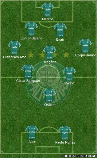 SE Palmeiras Formation 2016