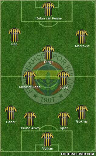 Fenerbahçe SK Formation 2016