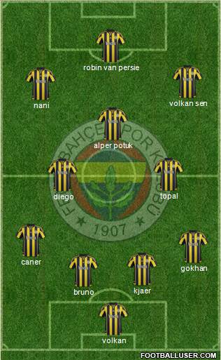 Fenerbahçe SK Formation 2016