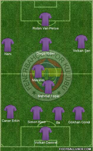Fenerbahçe SK Formation 2016