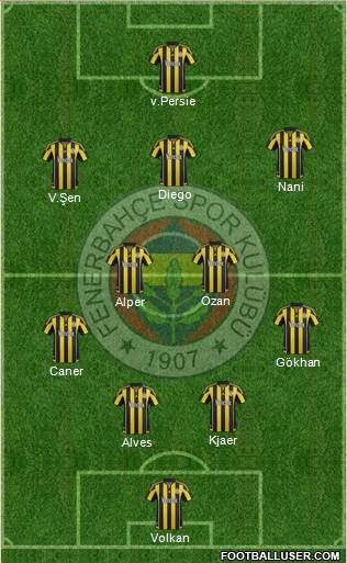 Fenerbahçe SK Formation 2016
