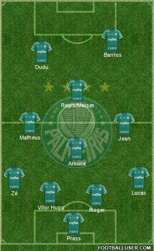 SE Palmeiras Formation 2016
