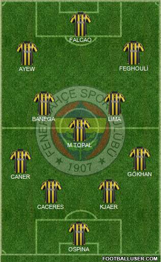 Fenerbahçe SK Formation 2016