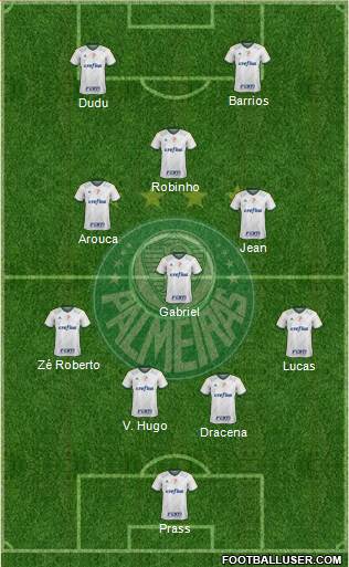 SE Palmeiras Formation 2016