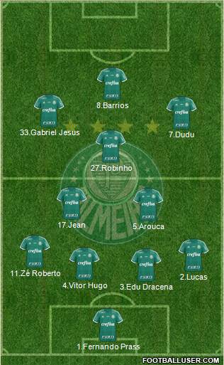 SE Palmeiras Formation 2016