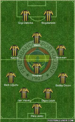 Fenerbahçe SK Formation 2016