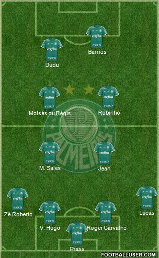 SE Palmeiras Formation 2016