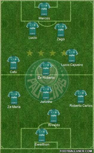 SE Palmeiras Formation 2016