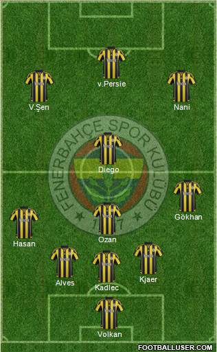 Fenerbahçe SK Formation 2016