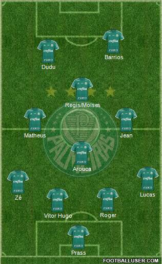 SE Palmeiras Formation 2016