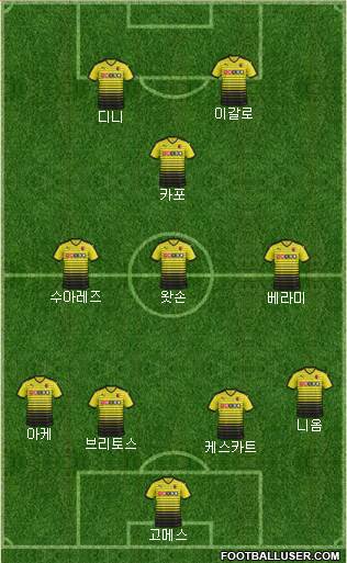 Watford Formation 2016